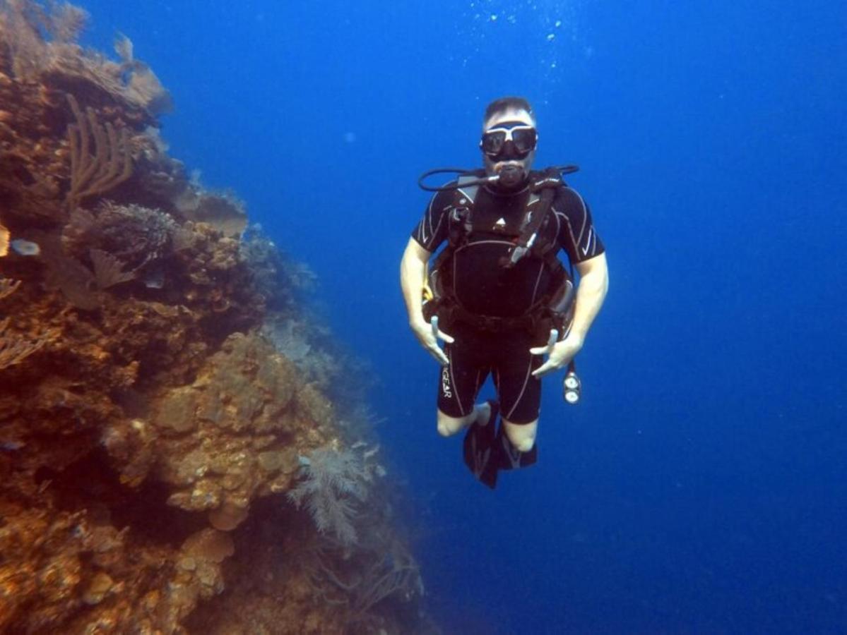 Hotel And Dive Center Roatan Yacht Club French Harbour Exteriör bild