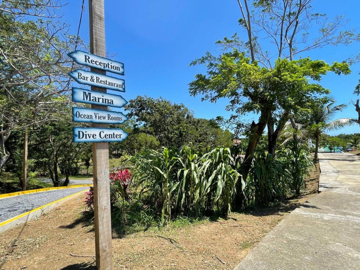 Hotel And Dive Center Roatan Yacht Club French Harbour Exteriör bild